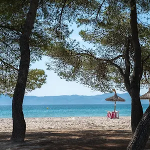 Ferrer Lime Playa De Alcudia , Port de Alcudia (Mallorca) Spain